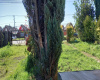 Vende Terreno , Sector Avda. Circunvalación Sur.