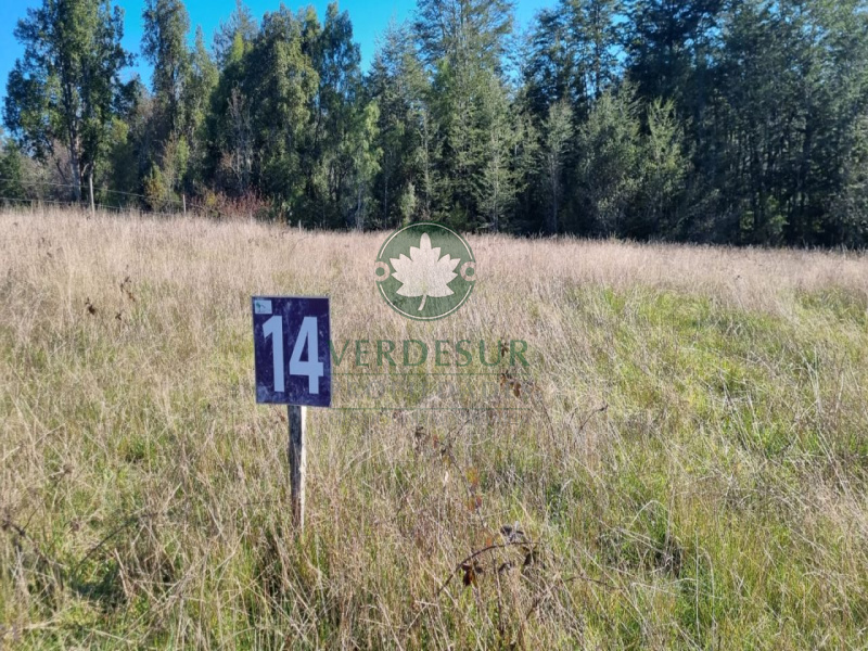 RUTA 5 SECTOR HUEINAHUE, MAFIL, Valdivia, ,Parcela,En Venta,2168