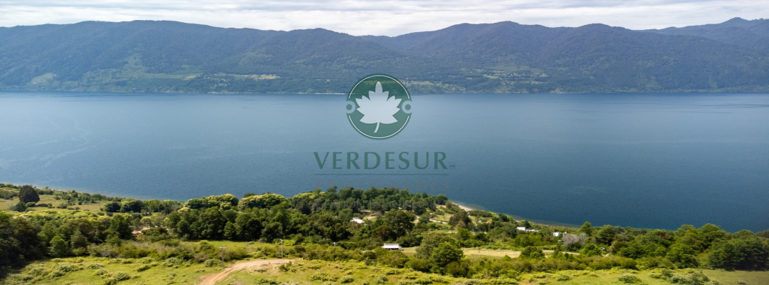 FLOR DE LAGO RIÑIHUE, RIÑIHUE, Los Lagos, ,Parcela,En Venta,RIÑIHUE,2317