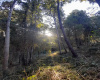 Parcela en venta sector sector Torobayo  \