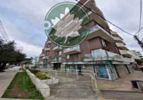 Departamento amoblado en arriendo Edificio Río Activo