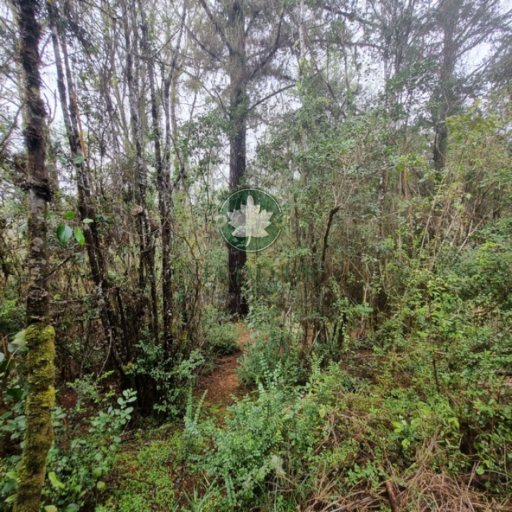 PARCELA EN VENTA. SE VENDEN PARCELAS EN CHANCOYAN