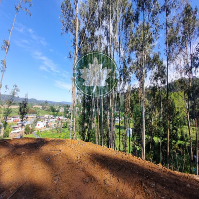 parcelas. se venden parcelas, parcelas a minutos de Valdivia