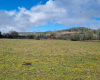 ANTILHUE RUTA T-35, ANTILHUE, Valdivia, ,Parcela,En Venta,RUTA T-35,1478