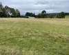 CAMINO A HUEIMEN, IGNAO, Valdivia, 5 Habitaciones Habitaciones, ,1 BañoBathrooms,Parcela,En Venta,1646