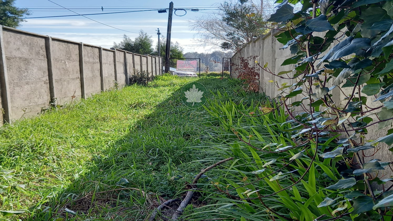 en venta. se vende. terreno en venta. terreno torobayo. comprar terreno en valdivia. se vende en valdivia. vivir en valdivia. verdesur.