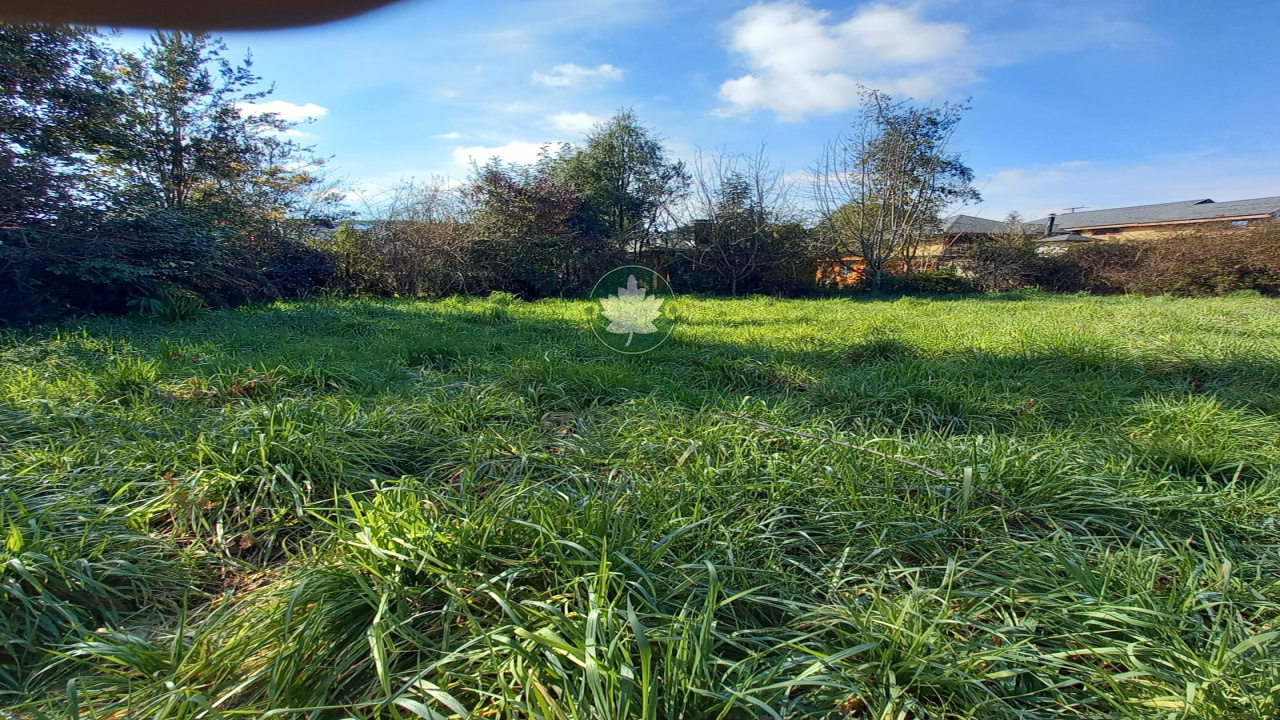 en venta. se vende. terreno en venta. terreno torobayo. comprar terreno en valdivia. se vende en valdivia. vivir en valdivia. verdesur.