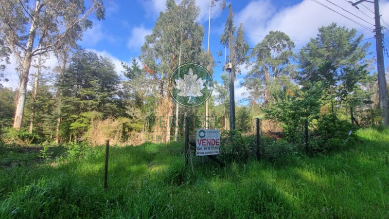 SALIDA SUR RUTA 206, CASA BLANCA, Valdivia, ,Parcela,En Venta,RUTA 206,1843